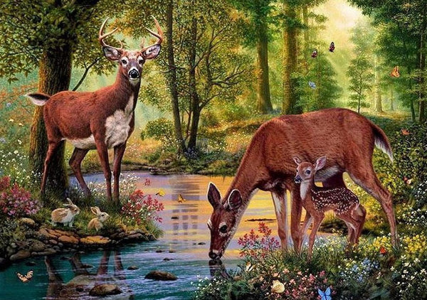 Deer in the forest drinking water PIX-44