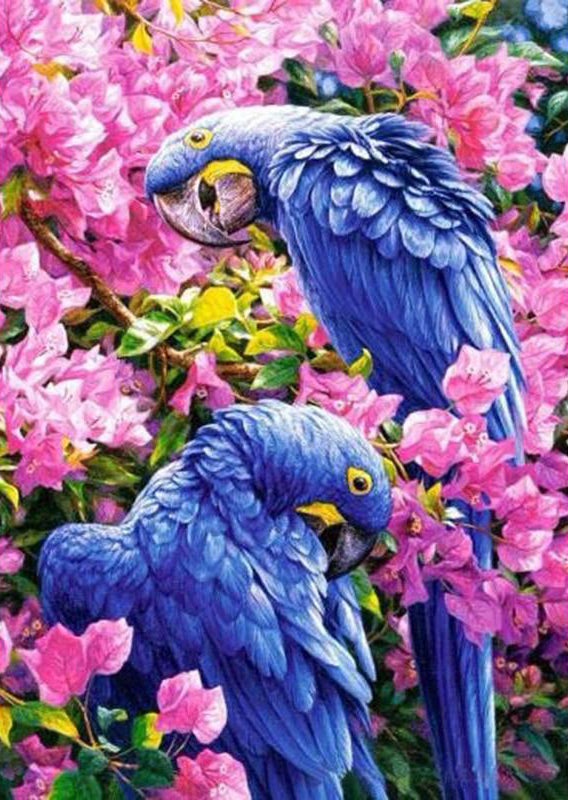 Flowers In The Two Parrots PIX-89