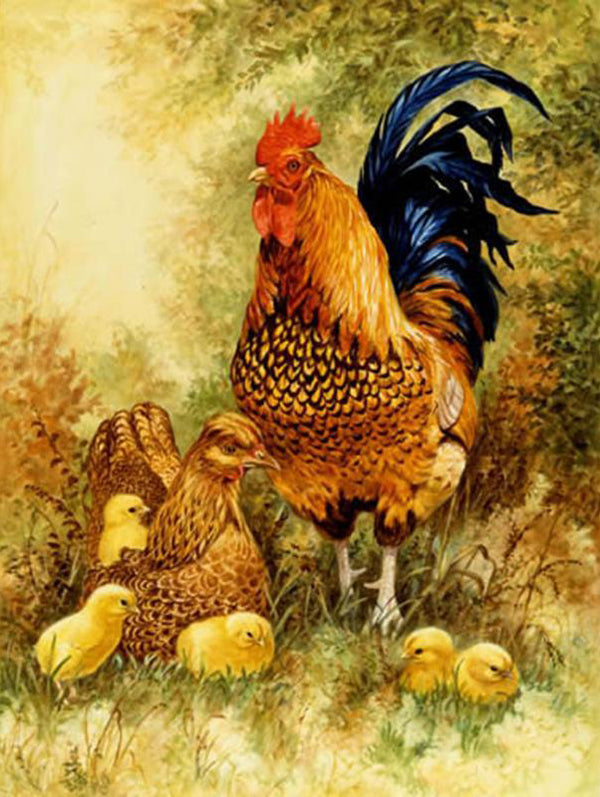 Big rooster and chick PIX-101