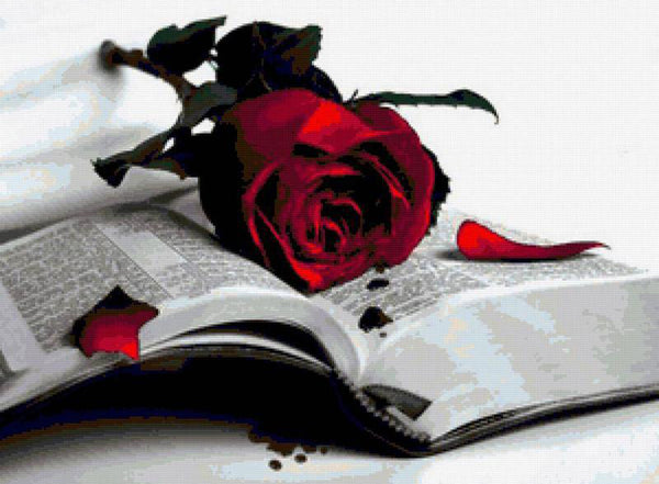 Roses And Books PIX-113