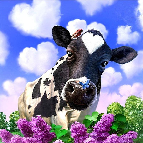 Sweet Cow And Blue Sky PIX-115