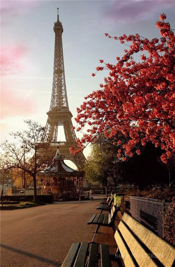Scenery Eiffel Tower PIX-120