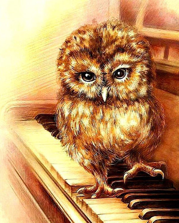 Owl Playing Piano PIX-141