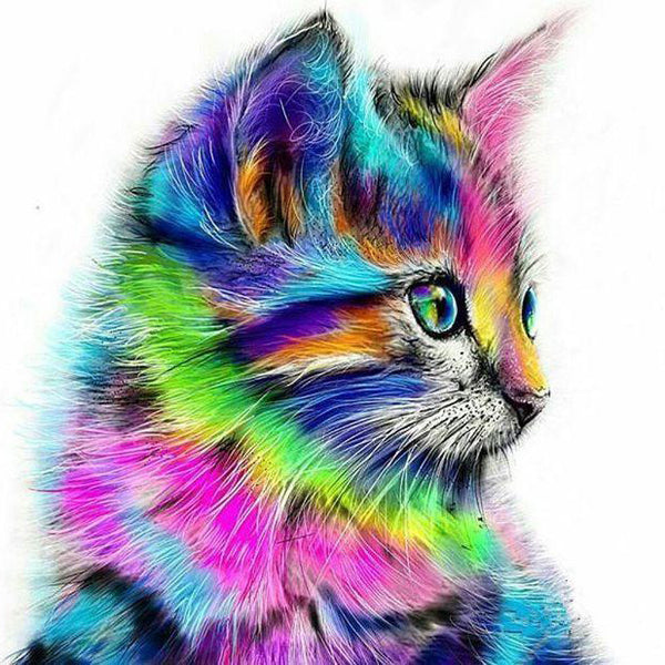Cat Colors PIX-221