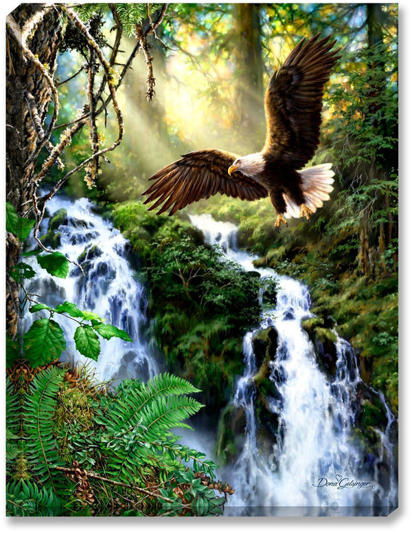 Landscape Eagle Waterfall PIX-261