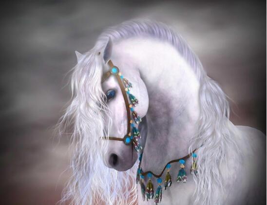 Horse White Night PIX-291