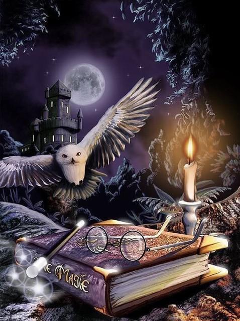 Owl Night Book PIX-357