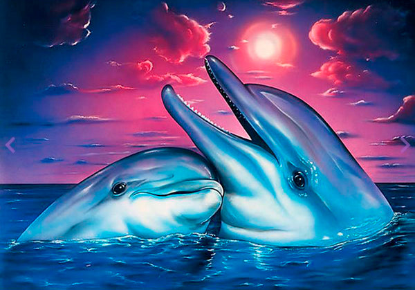 Happy Dolphin PIX-424
