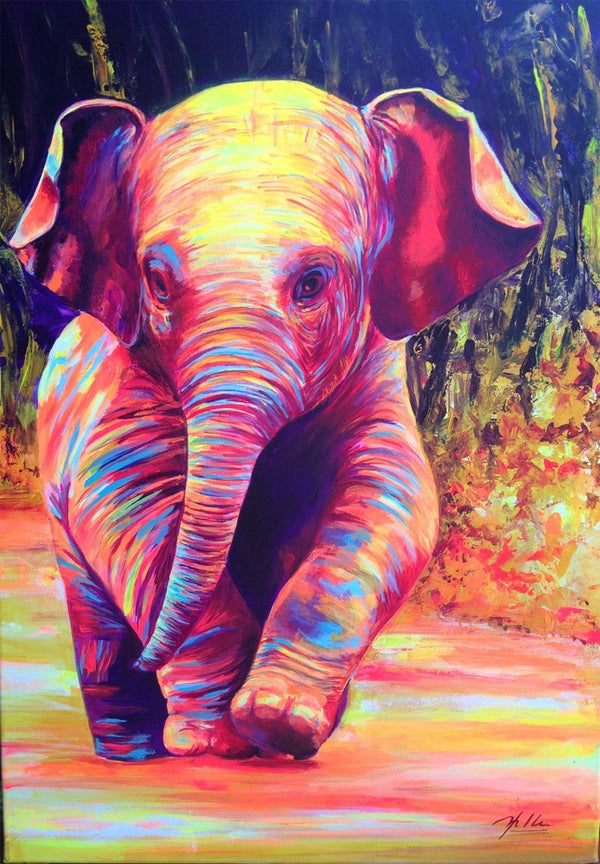Elephant Full Colors PIX-494