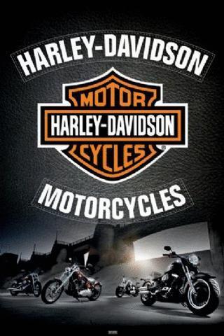 Harley Motorcycle PIX-540