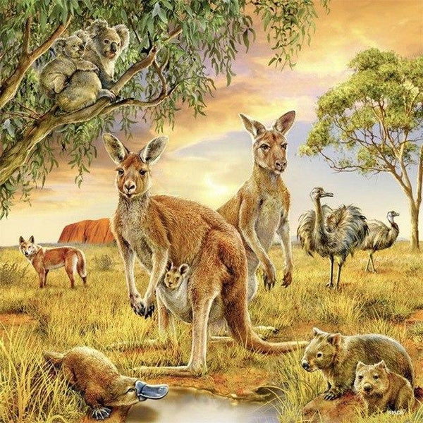 Kangaroo Love PIX-559