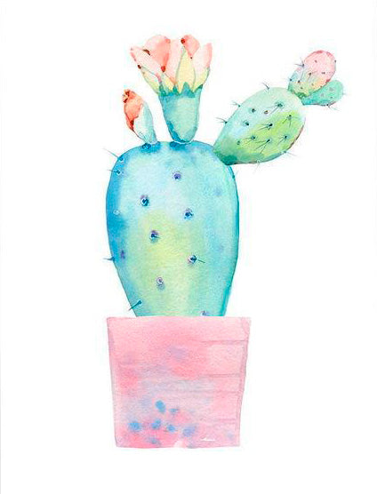 Plant Cactus III PIX-591