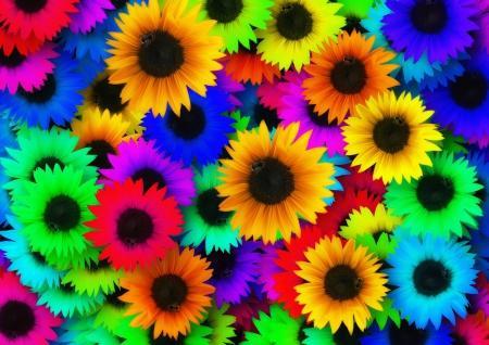 Rainbow Flowers PIX-762